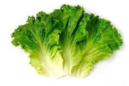 daun salad
